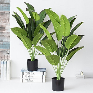 Cây chuối giả cảnh - cao 90cm - Cây giả, hoa lụa Decor trang trí nhà cửa