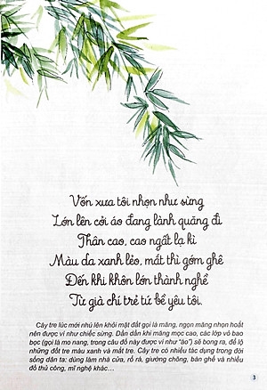 Sách Câu Đố Dân Gian Bằng Tranh - Cây Cối (Tái Bản 2019)