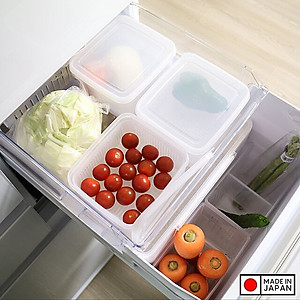 Combo 02 hộp lạnh bảo quản thực phẩm Nakaya 1100ml Made in Japan