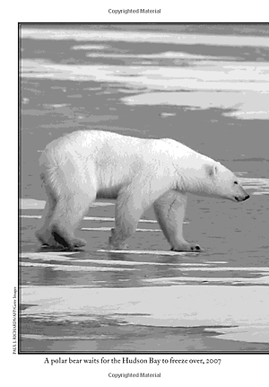 Sách What Is Climate Change?