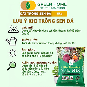 Đất Trồng Sen Đá Greenhome, Soil Mix, Bao 6kg, Trộn Sẵn, 85% Đá Khoáng, Phát Rễ Nhanh, Lên Màu Nhanh, Thoát Nước Tốt