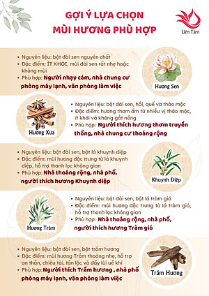 Nhang Trầm Hương Liên Tâm - Nhang sạch nhang xanh - nhang chung cư, ít khói, dịu nhẹ - Nhiều độ dài
