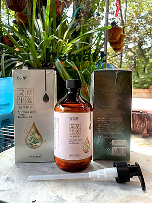 Dầu Massage Body 500ml Tinh Chất Gừng Ngải Cứu Spa Đông Y Cổ Vai Gáy Dưỡng Sinh Giảm Đau Xương Khớp
