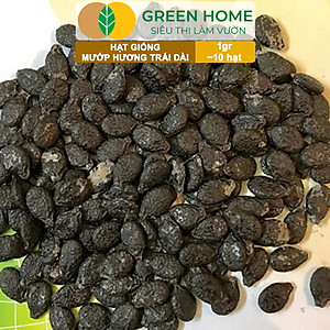 Hạt Giống Mướp Hương Greenhome, Gói 1gr~10 Hạt, Dễ Trồng Quanh Năm, Nảy Mầm Cao, Thu Hoạch Nhanh, Năng Suất Cao T16
