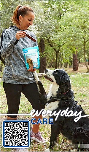 1 thùng (10 gói) Veggiedent sạch răng, thơm miệng, giảm cao răng cho chó (Virbac)