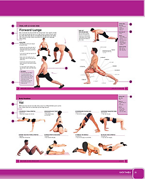 Giãn Cơ Bắp Thư Giãn Giảm Đau Nhức