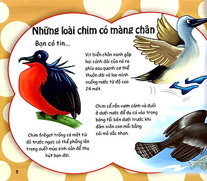 Sách Những Điều Kỳ Thú - Thú Vị Các Loài Chim