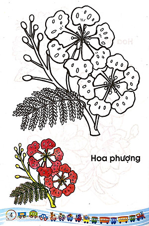 Sách Tập Tô Màu Các Loại Hoa