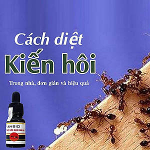 Chế Phẩm Diệt Kiến Gián Sinh Học Anbio Sử Dụng An Toàn Chai 10 ml