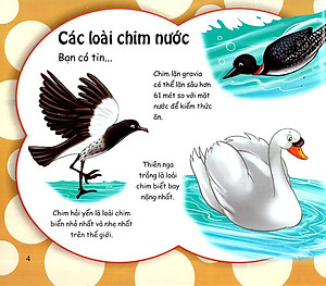 Sách Những Điều Kỳ Thú - Thú Vị Các Loài Chim