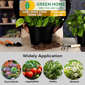 Bộ 3 Chậu nhựa trồng cây, nhiều kích thước, thoát nước tốt, đa dạng kích thước trồng cây, hoa, kiểng lá |Greenhome