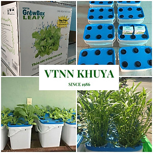 Bộ 1 chậu trồng rau ăn lá thủy canh tĩnh Growbox Leafy Kit 1 Hợp Trí Không bao gồm phân bón thủy canh
