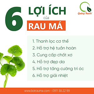 Rau Má Uống Liền Sấy Lạnh Nguyên Chất Hộp Ko Đường (3g*15 gói)  - Mát gan, detox, giảm mụn, giảm cân, giải nhiệt