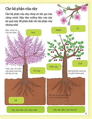 Sách Thế Giới Trong Tay Em - Sự Sinh Trưởng Của Vạn Vật