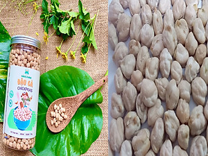 Hạt đậu gà không biến đổi gen Ấn độ/Canada size 9mm up_Chickpeas non GMO from India/Canada