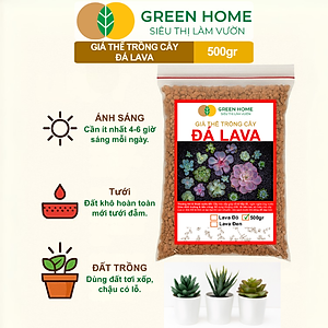 Đá Nham Thạch Lava GreenHome, Bao 500GR, Giá Thể Cho Thủy Sinh, Bonsai, Xương Rồng Màu Đỏ, Đen, Sạch Bụi