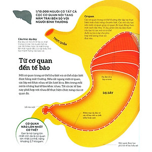 Sách How The Body Works - Hiểu Hết Về Cơ Thể