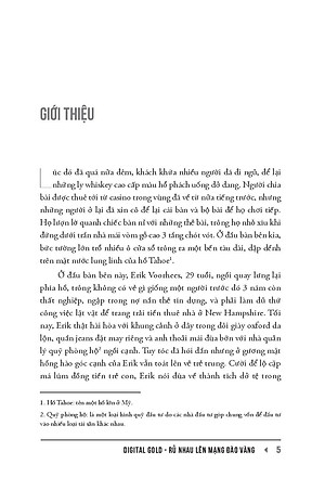 Sách Digital Gold - Rủ Nhau Lên Mạng Đào Vàng