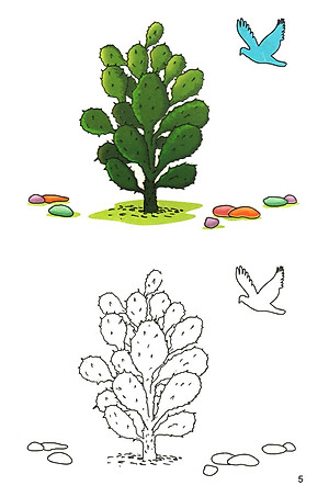 Sách Tập Tô Màu: Dành Cho Bé (5 - 6 Tuổi)