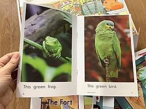 Rakid AA nhập rời 100Q kèm link mp3 và video