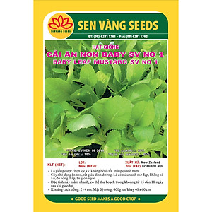 Hạt giống cải ăn non baby No1 gói 20g VTS76