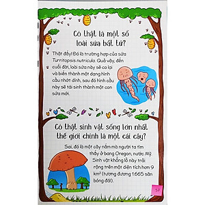 Sách Hỏi Đáp Cùng Em - Thật Vậy Sao?