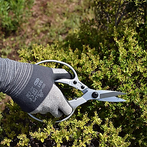 Kéo cắt cành màu bạc phong cách Nhật Bản Spear & Jackson 4452JS