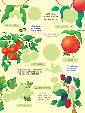 First Sticker Book - Sách Dán Hình Đầu Đời Cho Bé - Trái Cây Và Rau Củ