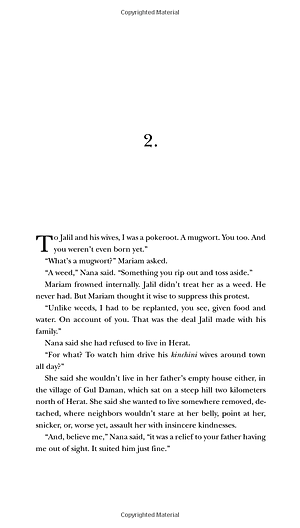 Sách A Thousand Splendid Suns (Perfect Paperback)