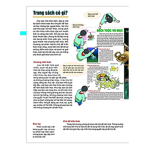 Sách Bách Khoa Tri Thức Bằng Hình Cho Trẻ Em