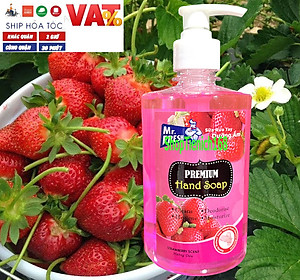 Nước rửa tay thảo mộc Premium Hand Soap Mr Fresh 500ml - an toàn cho da tay
