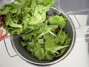 Bộ rổ tròn inox có tay cầm hai bên chính hãng ECHO φ20cm hàng nội địa Nhật Bản #0247-045