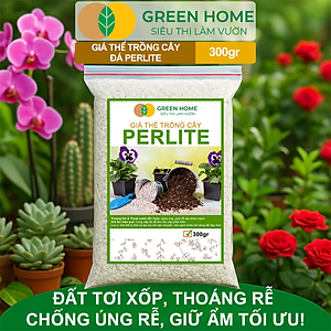 Đá Perlite Greenhome, Bao 300gr, Trồng Hồng, Thuỷ Canh, Giá Thể Trân Châu Giàu Khoáng Chất, Tăng Độ Tơi Xốp