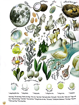 Sách Những Gam Màu Rực Rỡ Của Thiên Nhiên