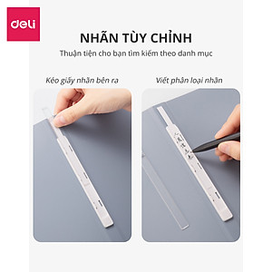 File lá A4 đựng tài liệu nhiều ngăn Nusign Deli - Tệp đựng tài liệu 30/40 lá chất liệu PP cao cấp tiện lợi nhiều màu sắc