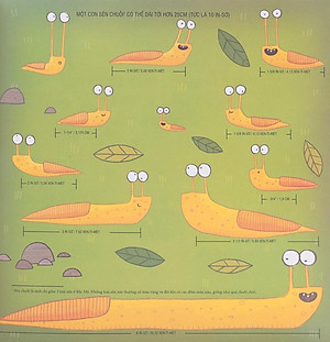 Sách Biết Tuốt Về Đo Lường