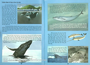 Sách Thế Giới Động Vật Kì Thú - Đại Dương Kì Bí