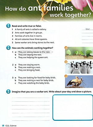 Guess What! Level 5 Activity Book with Online Resources British English