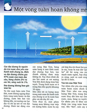 Sách Khám Phá Biển (Tái Bản 2019)