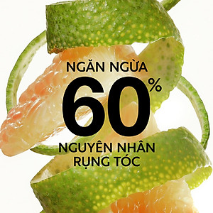 Nước dưỡng tóc tinh dầu bưởi Cocoon 140ml - 310ml