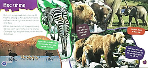 Sách Độc Lạ Phi Thường - Thú Con Bé Bỏng