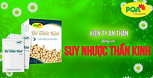 Bổ Thần Kinh PQA Hỗ Trợ Kiện Tỳ An Thần, Giảm Các Triệu Chứng Suy Nhược Thần Kinh Hộp 12 Gói