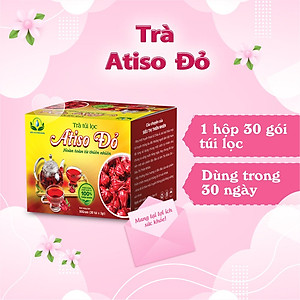 Trà Hoa Atiso đỏ hộp 30 Túi Lọc x 3Gram của Siêu Thị Thiên Nhiên