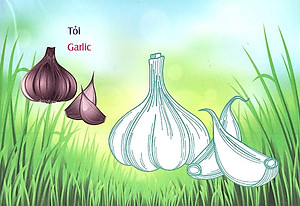 Sách Bé Làm Quen Môi Trường - Rau Củ