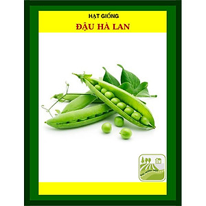 Hạt Giống Đậu Hà Lan 50 Gram Rạng Đông