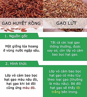 Gạo Lứt Huyết Rồng Dân Tộc Rang Nguyên Chất MẸ KEN 1Ký - TRÀ GẠO LỨT, GẠO LỨT RANG MẸ KEN