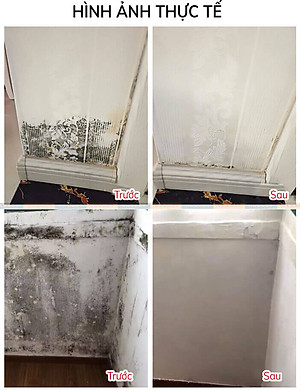 Chai Xịt Tẩy Mốc Tường Nhà 500ml LKB Tẩy Sạch Nấm Mốc Hiệu Quả Tiện Lợi Hàng Chính Hãng