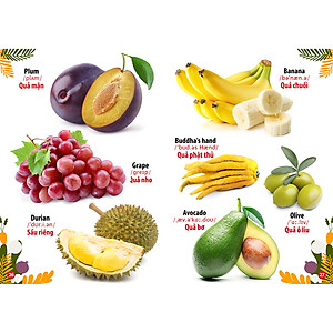 Trọn Bộ Từ Điển -Thư Viện Hình Ảnh Song Ngữ Đầu Tiên Của Bé ( bộ 8 cuốn)