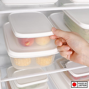 Hộp nhựa đựng thực phẩm nắp déo Fitin Pack các cỡ nội địa Nhật Bản