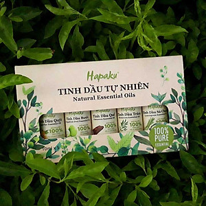 Tinh Dầu Tràm Tự Nhiên Nguyên Chất 10ml Hapaku